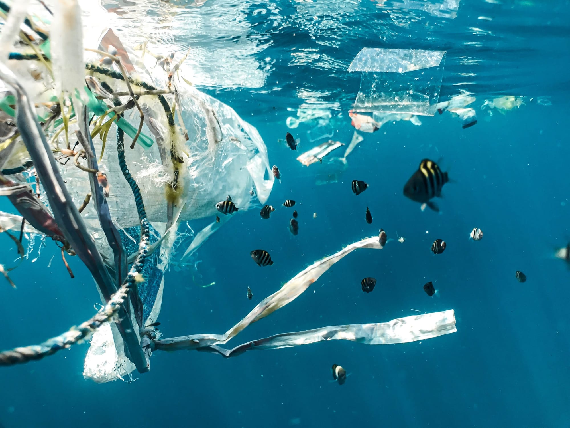 The Lifecycle of Plastic: Even Recycling Can’t Save Us