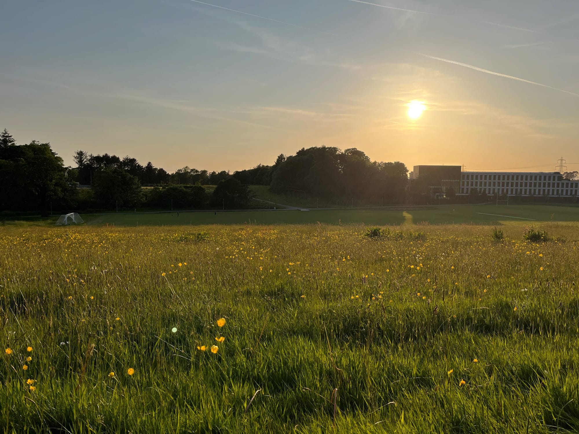 Here Comes the Sun: How to Stay Safe During the Lancaster Heatwave