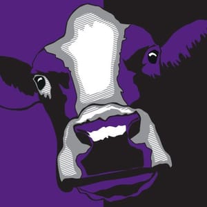 Elections are coming so get a Moo-ve on