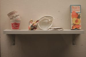 Sea Breeze: An Archive – Peter Scott Gallery Review