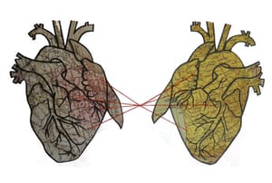 Long-distance relationships: Manageable or too complicated?