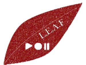 Review: LEAF 2014