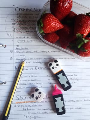 A social life, good grades and sleep: choose one