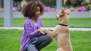 Review: Annie