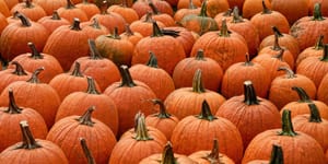 Trick, not Treat