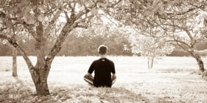 Meditate the stress away