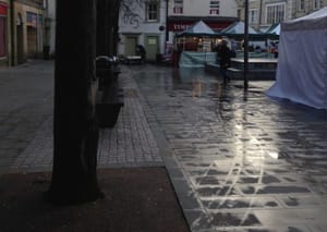 Lancaster Trees at Risk