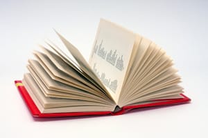 Does the rise of English mean that knowledge is being lost?