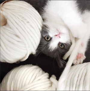 Knitting; it'll have you in stitches!