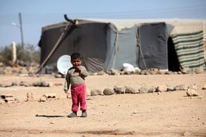 Red Roses Refugees