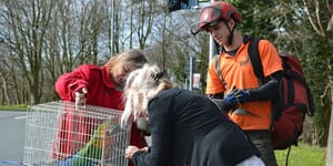 Lancaster campus is parrot-dise for lost pet