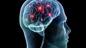 A Space for Thought: An Exhibition for the Neuro Community