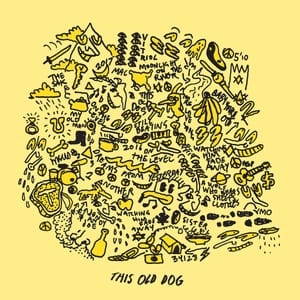 Mac DeMarco: 'This Old Dog' Album Review