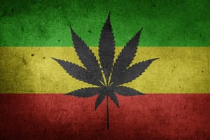 Should we legalise cannabis for the sake of the economy?