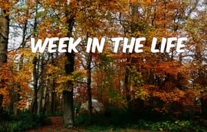 Week in the Life: Marketing and Spanish