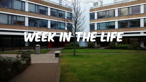 Week in the Life: Law