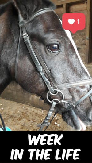 Week in the Life: Crusades, horse-riding and coursework