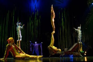 Buzzing for the Cirque Du Soleil