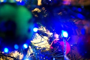 Step Into My Christmas Song…