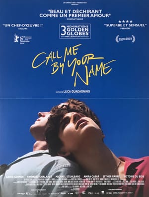 Bisexual Representation in Call Me By Your Name