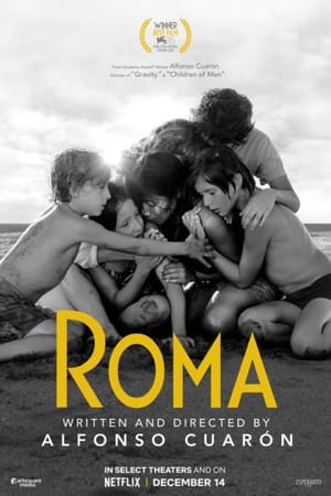 For Libo: Roma Review