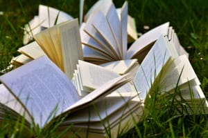 The Best Summer Reads 2019