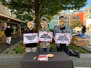 PETA vs Canada Goose