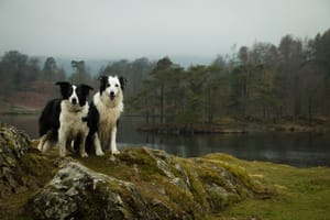 Reasons to visit the Lake District in 2020