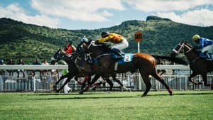 Horse Racing: One of Britain’s Great Sporting Traditions or a Cruel Sport to be Left in the Past?