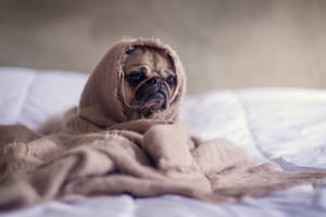 How to Keep Yourself Toasty this Winter