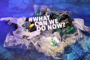 Is it possible to be environmentally conscious in 2020?