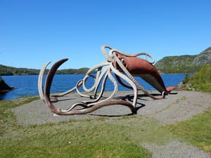The Squid