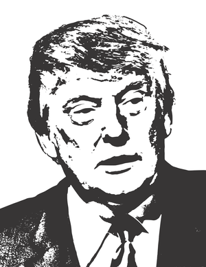Explained: Trump Impeachment 2.0