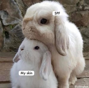 Why You Should Wear Sunscreen Every Day – Yes, Even in Winter