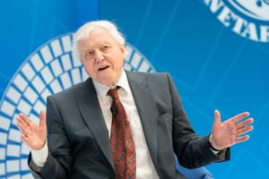 David Attenborough’s 'A Life on Our Planet' Reviewed