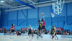 Basketball Hive Mind: You Win Some, You Lose Some