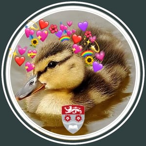Social Media Accounts of Lancs