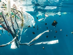 The Lifecycle of Plastic: Even Recycling Can’t Save Us