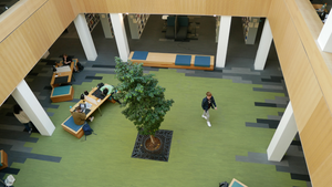 The Prevalence of Cyber-bullying at Lancaster University and Where To Report Harassment